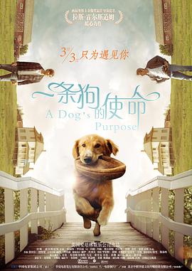 华人亚洲欧美精品国产